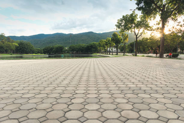 Permeable Paver Driveway in Great Falls, SC